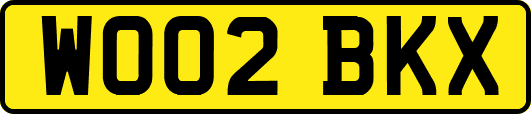 WO02BKX