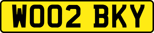 WO02BKY