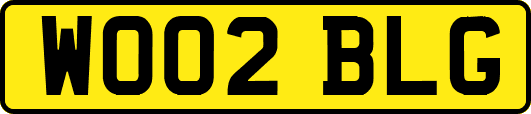 WO02BLG