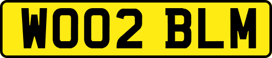 WO02BLM