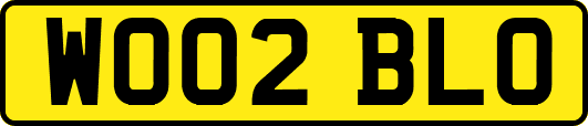 WO02BLO
