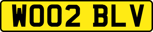 WO02BLV