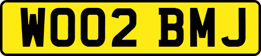 WO02BMJ