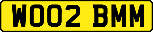 WO02BMM