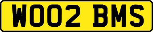WO02BMS