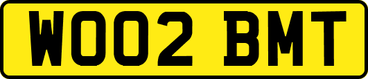 WO02BMT