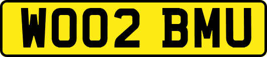 WO02BMU