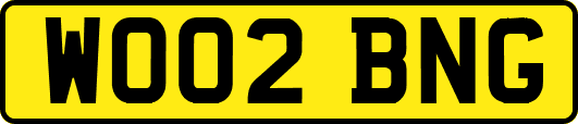 WO02BNG