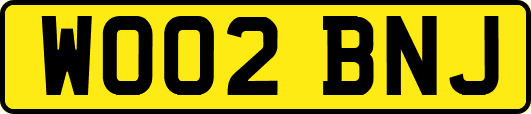 WO02BNJ