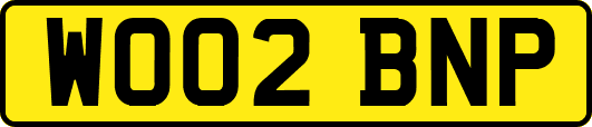 WO02BNP