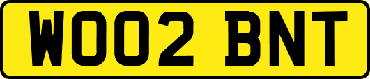 WO02BNT