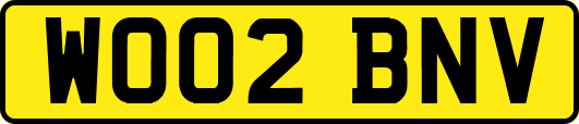 WO02BNV