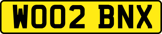 WO02BNX