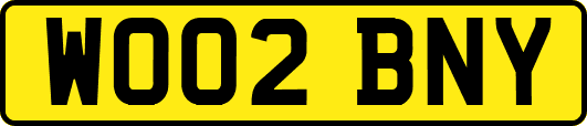 WO02BNY