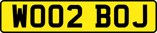 WO02BOJ