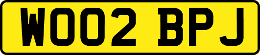 WO02BPJ