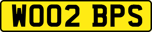 WO02BPS