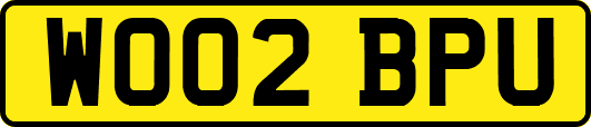 WO02BPU