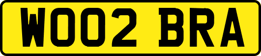 WO02BRA