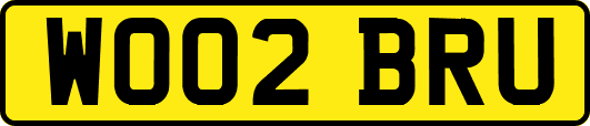 WO02BRU