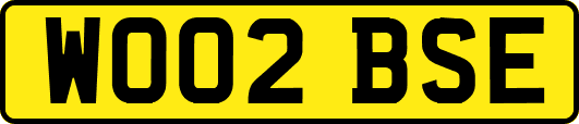 WO02BSE