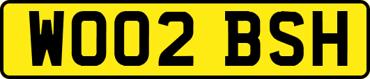 WO02BSH