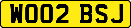 WO02BSJ
