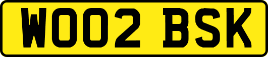 WO02BSK