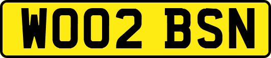 WO02BSN