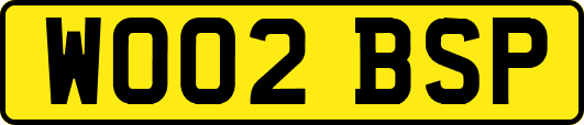 WO02BSP