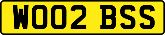 WO02BSS