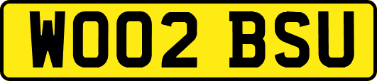 WO02BSU