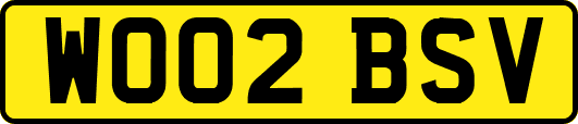 WO02BSV