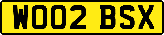 WO02BSX