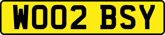 WO02BSY