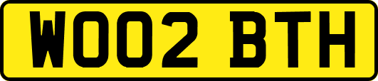 WO02BTH