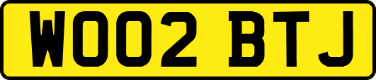 WO02BTJ