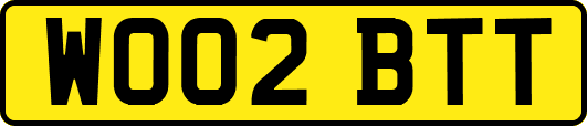 WO02BTT