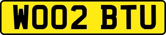 WO02BTU