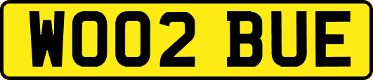 WO02BUE