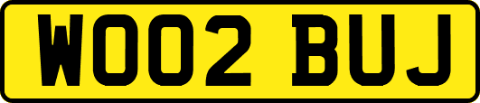 WO02BUJ