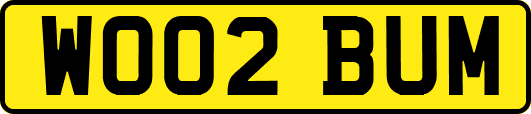 WO02BUM