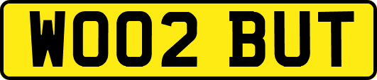 WO02BUT