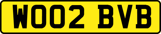 WO02BVB