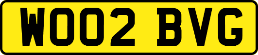 WO02BVG