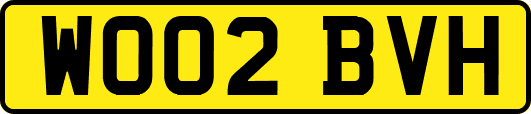 WO02BVH