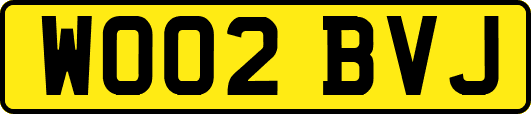 WO02BVJ