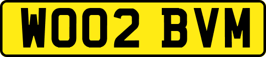 WO02BVM