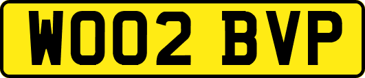 WO02BVP