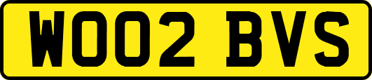 WO02BVS